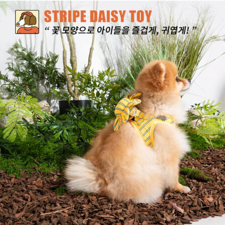 ของเล่นสัตว์เลี้ยง PUPPY GALLERY Stripe Daisy Toy สีเหลือง (มีเสียงเมื่อบีบ)_8