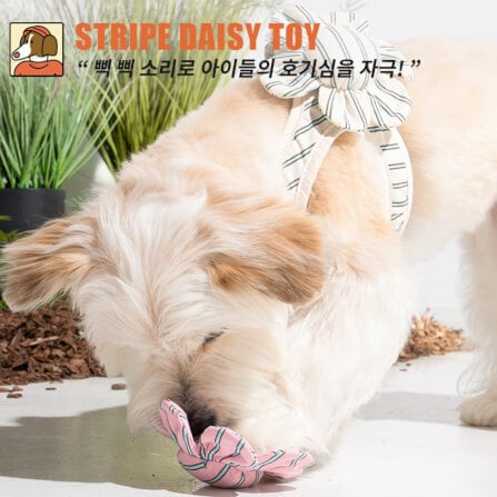 ของเล่นสัตว์เลี้ยง PUPPY GALLERY Stripe Daisy Toy สีครีม (มีเสียงเมื่อบีบ)_12