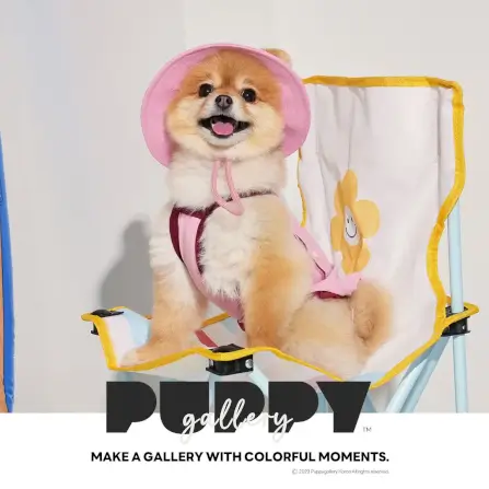หมวกสัตว์เลี้ยง PUPPY GALLERY ไซซ์ M สีชมพู มาพร้อม Cooling Pads_12