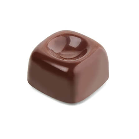 พิมพ์อบขนมโพลีคาร์บอเนต PAVONI CT0789-47 จำนวน 21 ช่อง_6