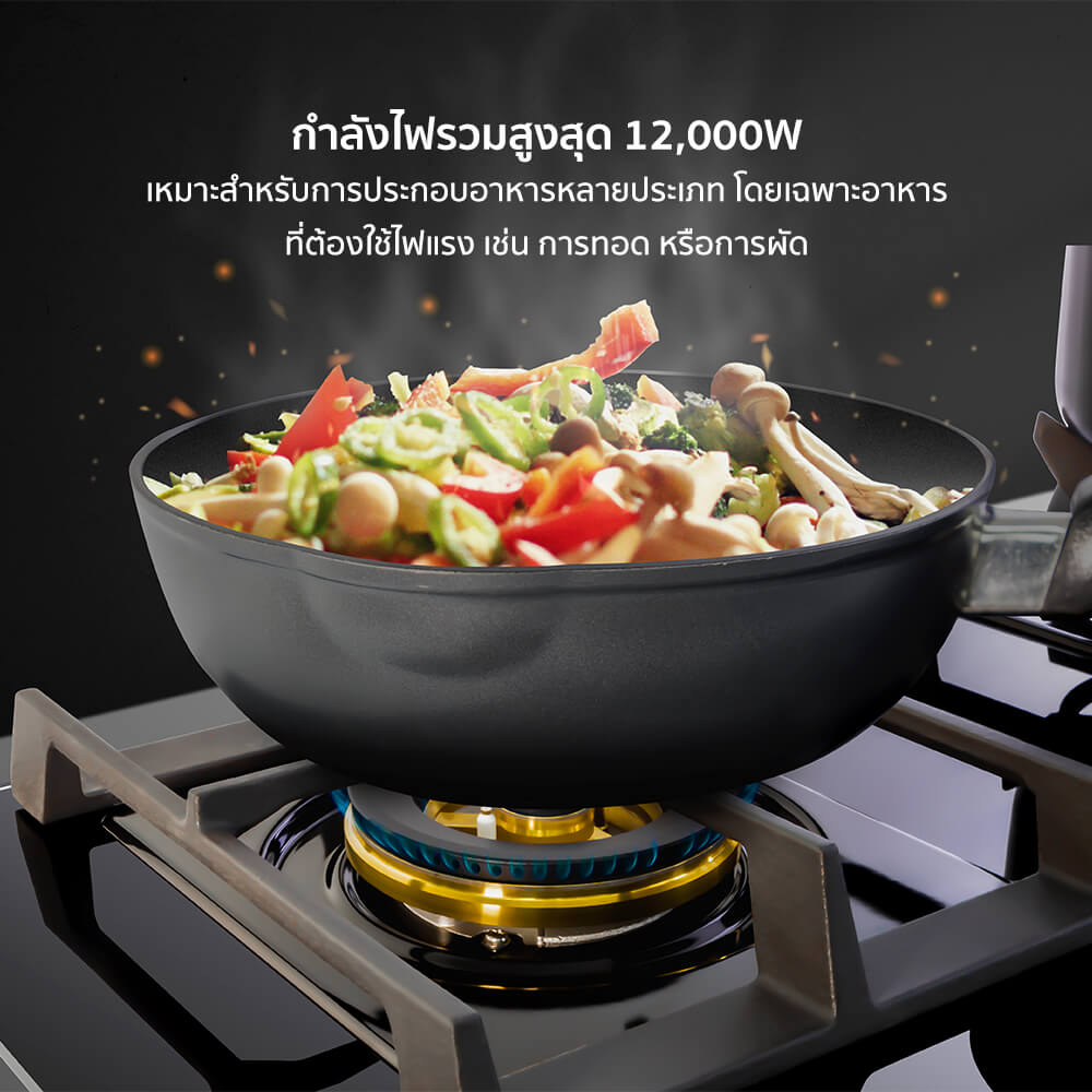 ชุดเซต เตาฝังแก๊ส 2 หัว + เครื่องดูดควัน EVE HB76-BLACKFOREST/BG +  HC-MAXIMUS 90 ซม. สีดำ