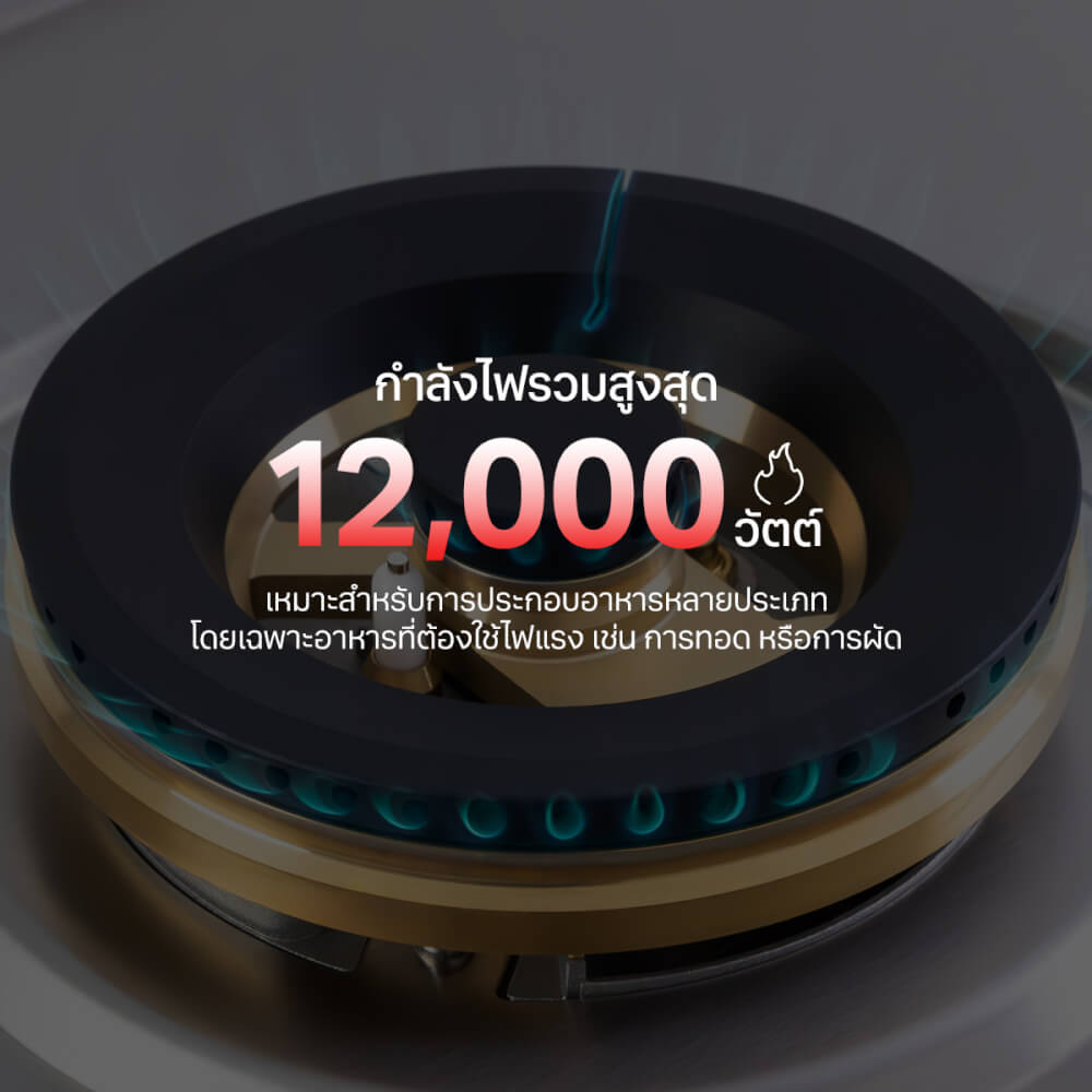 เตาแก๊สฝังสแตนเลส 2 หัว เตาแก๊สแบบฝัง EVE HBS76-2MBFB/SS 76 ซม. สีเงินสเตนเลส