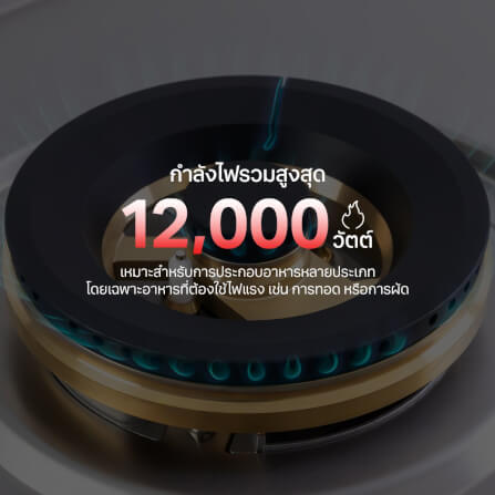 เตาแก๊สฝังสแตนเลส 2 หัว เตาแก๊สแบบฝัง EVE HBS76-2MBFB/SS 76 ซม. สีเงินสเตนเลส_4