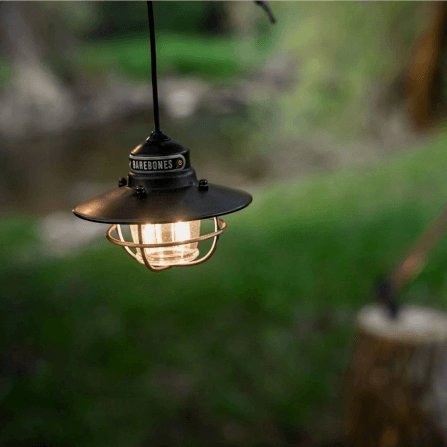 โคมไฟแขวน Edison Barebones สีบรอนซ์_2