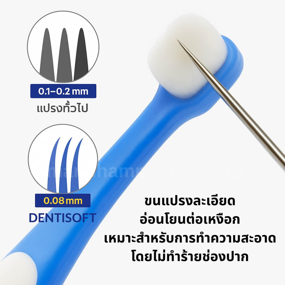 แปรงสีฟันหัวใหญ่สำหรับสัตว์เลี้ยง ARM AND HAMMER ขนแปรงนุ่ม (SIZE M)_1