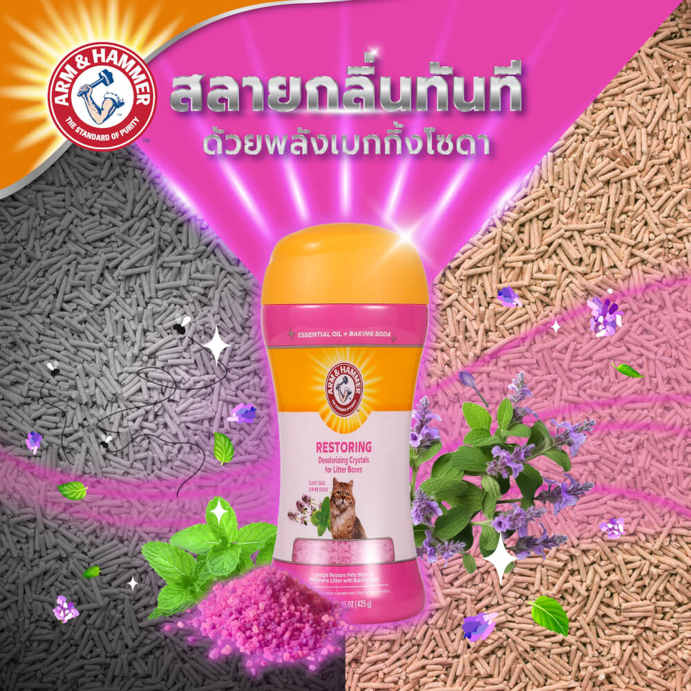 เม็ดดับกลิ่นทรายแมว Arm and Hammer สูตรลดความเครียด กลิ่นคลารี่เสจ มินต์ 425 กรัม