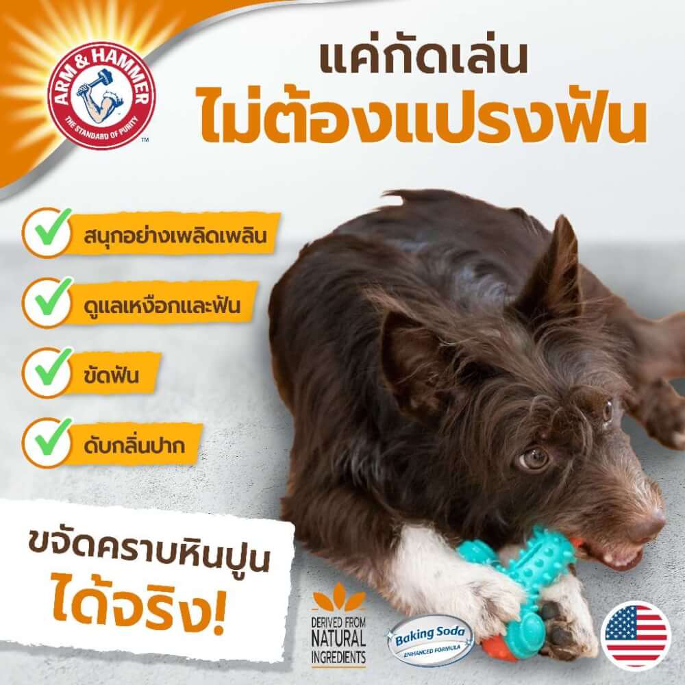 ของเล่นสุนัข ARM AND HAMMER NUBBIES DUO BONE ช่วยขัดฟัน รสไก่ ขนาด 5X14 ซม.
