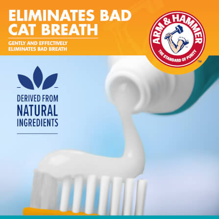 ชุดยาสีฟันสำหรับแมว Arm and Hammer cpc รสทูน่า ขนาด 67.5 กรัม_3