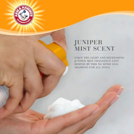โฟมอาบน้ำแห้งสุนัข ARM AND HAMMER ULTRA FRESH สูตร CACTUS WATER และ CITRUS ขนาด 237 มล._3