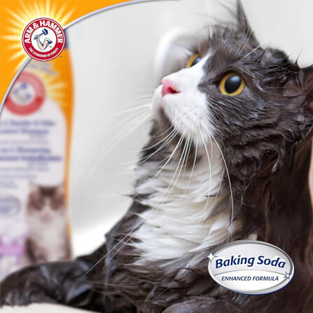 แชมพูแมว ARM AND HAMMER 2-IN-1 DANDER & ODOR CONTROL สูตรป้องกันเชื้อราและรังแค ขนาด 591 มล._5