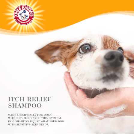 แชมพูสุนัข ARM AND HAMMER ULTRA FRESH 2 IN 1 DETANGLING สูตรผสมครีมนวด กลิ่นชาโคล & โรสเเมรี่ 473 มล._5