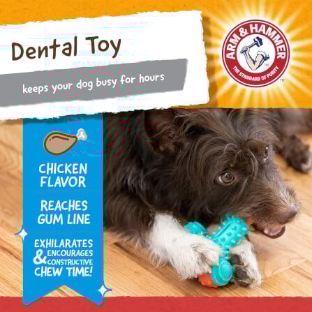 ของเล่นสุนัข ARM AND HAMMER NUBBIES WISH BONE รสไก่เข้มข้น ขนาด 10X12ซม._7