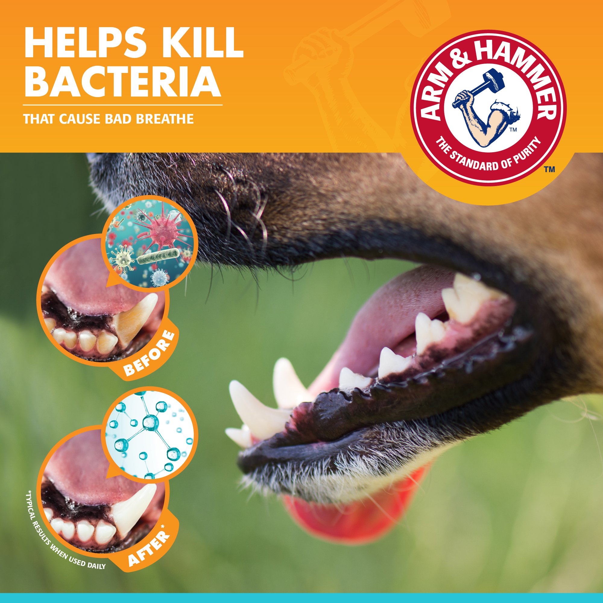 ยาสีฟันสำหรับสุนัข ARM AND HAMMER รสไก่ ไซส์จัมโบ้ ขนาด 175.8 กรัม (ไม่มีแปรง)_8