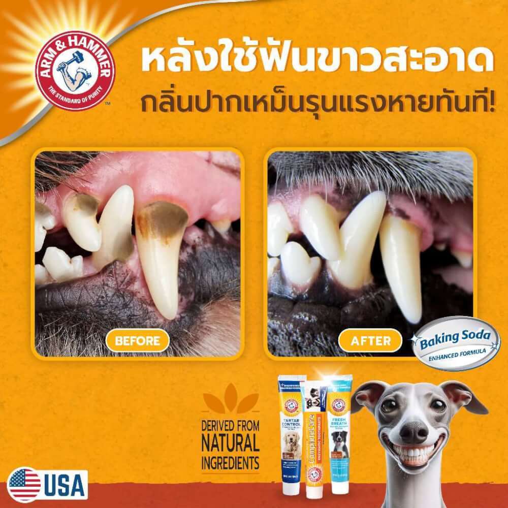 ยาสีฟันสำหรับสุนัข Arm and Hammer FB รสพีนัทบัตเตอร์ จัมโบ้ไซส์ ขนาด 175.8 กรัม (ไม่มีแปรง)