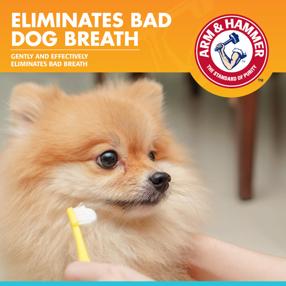 ยาสีฟันสำหรับสุนัข Arm and Hammer FB รสพีนัทบัตเตอร์ จัมโบ้ไซส์ ขนาด 175.8 กรัม (ไม่มีแปรง)