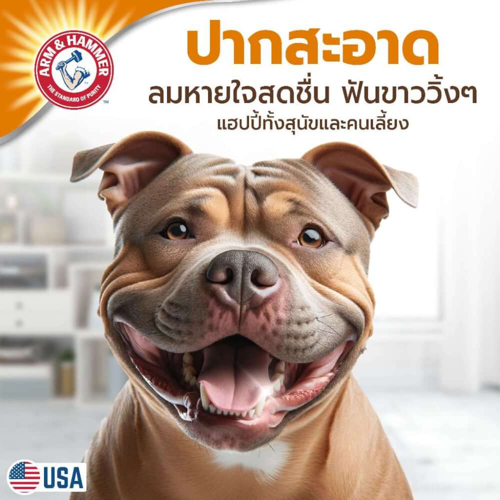ยาสีฟันสำหรับสุนัข Arm and Hammer FB รสพีนัทบัตเตอร์ จัมโบ้ไซส์ ขนาด 175.8 กรัม (ไม่มีแปรง)