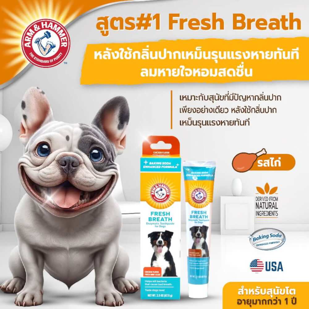 ยาสีฟันสำหรับสุนัข Arm and Hammer FB รสไก่มินต์ ขนาด 67.5 กรัม (ไม่มีแปรง)