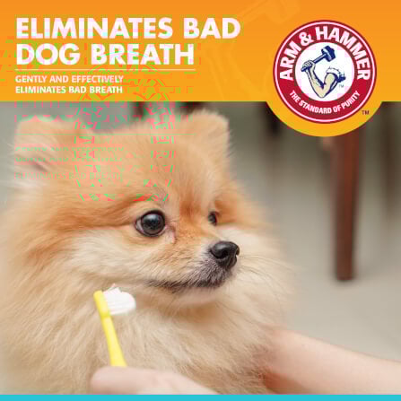 ยาสีฟันสำหรับสุนัข Arm and Hammer FB รสพีนัทบัตเตอร์ จัมโบ้ไซส์ ขนาด 175.8 กรัม (ไม่มีแปรง)_5