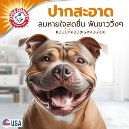 ยาสีฟันสำหรับสุนัข Arm and Hammer FB รสพีนัทบัตเตอร์ จัมโบ้ไซส์ ขนาด 175.8 กรัม (ไม่มีแปรง)_6