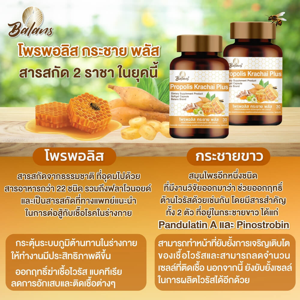 บาลานส์ โพรพอลิส กระชาย พลัส 30 แคปซูล