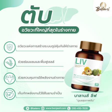 บาลานส์ ลีฟ 30 แคปซูล_3