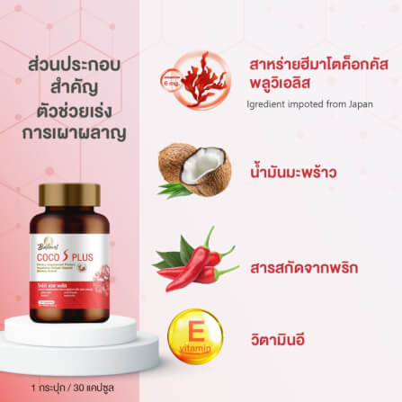 บาลานส์ โคโค่ เอส พลัส 30 แคปซูล_4