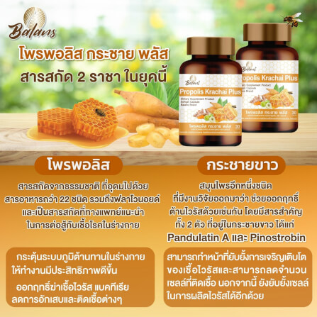 บาลานส์ โพรพอลิส กระชาย พลัส 30 แคปซูล_5