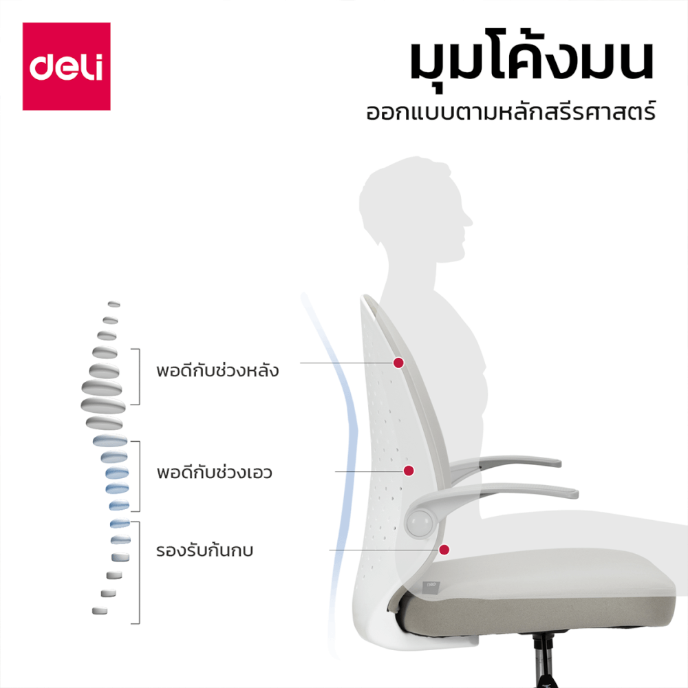 เก้าอี้ออฟฟิศ DELI E4942-WH-01 พนักพิงโค้ง สีเทา