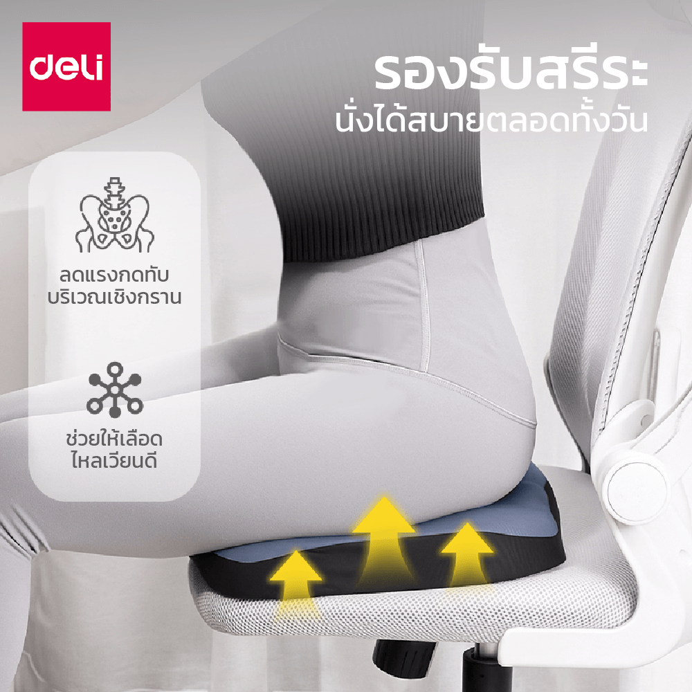 เบาะรองนั่ง DELI VS1339-BK-01 15 นิ้ว สีดำ_2
