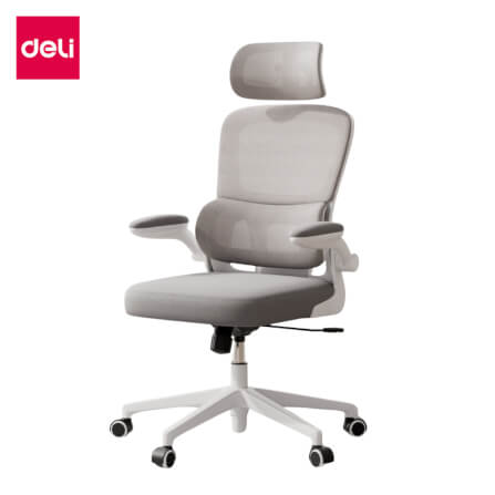 เก้าอี้สำนักงานเพื่อสุขภาพ DELI KF250-WH-01 สีเทา_0