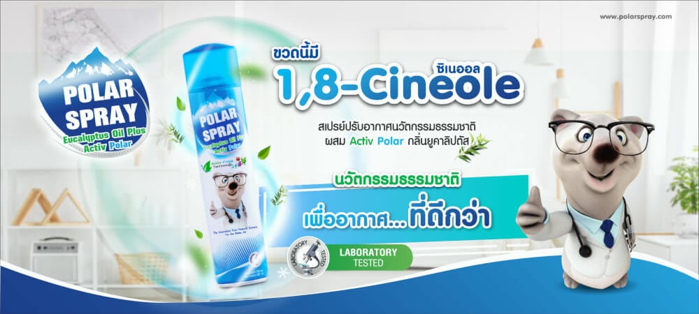 สเปรย์ปรับอากาศโพลาร์ สเปรย์ กลิ่นยูคาลิปตัส ขนาด 280 มล. 