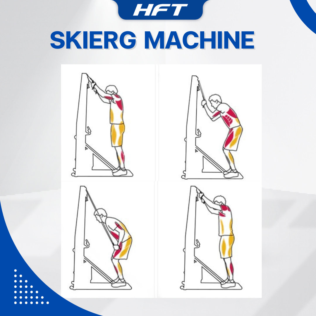 เครื่องเล่นสกีในร่ม HOMEFITTOOLS SKIERG TRAINER_6