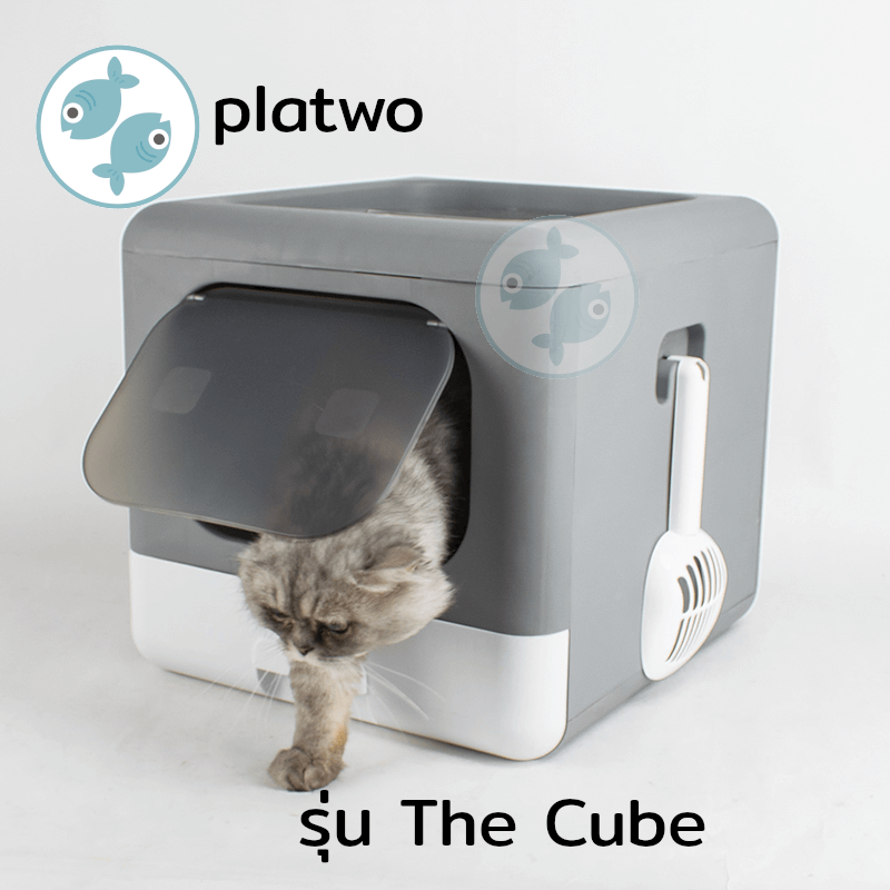 ห้องน้ำแมว Platwo รุ่น The Cube  ดีไซน์มินิมอล สีเทา