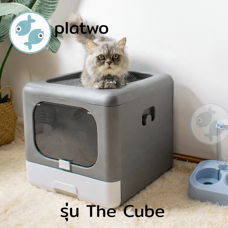ห้องน้ำแมว Platwo รุ่น The Cube  ดีไซน์มินิมอล สีเทา