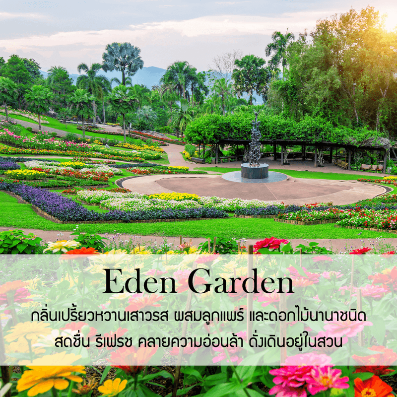 ก้านไม้หอมปรับอากาศ รีฟิล ขนาด 50 มล. กลิ่น Eden Garden