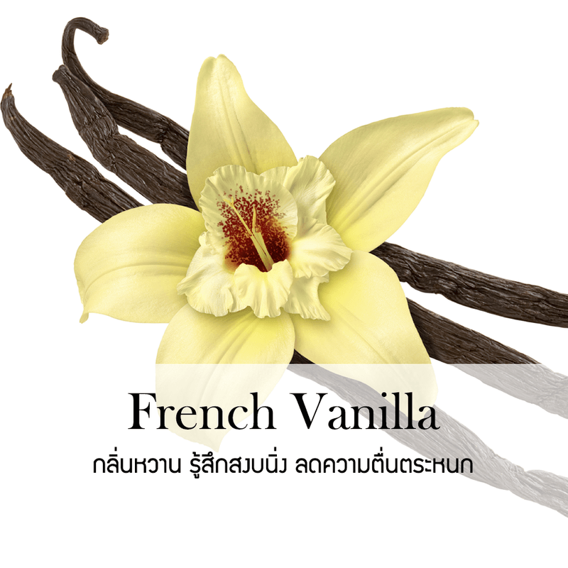 ก้านไม้หอมปรับอากาศ รีฟิล ขนาด 100 มล. กลิ่น French Vanilla