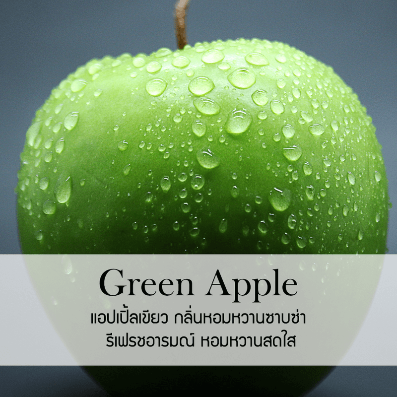 ก้านไม้หอมปรับอากาศ รีฟิล ขนาด 100 มล. กลิ่น Green Apple