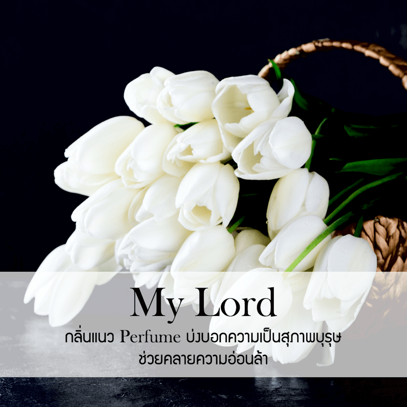 ก้านไม้หอมปรับอากาศ รีฟิล ขนาด 500 มล. กลิ่น My Lord