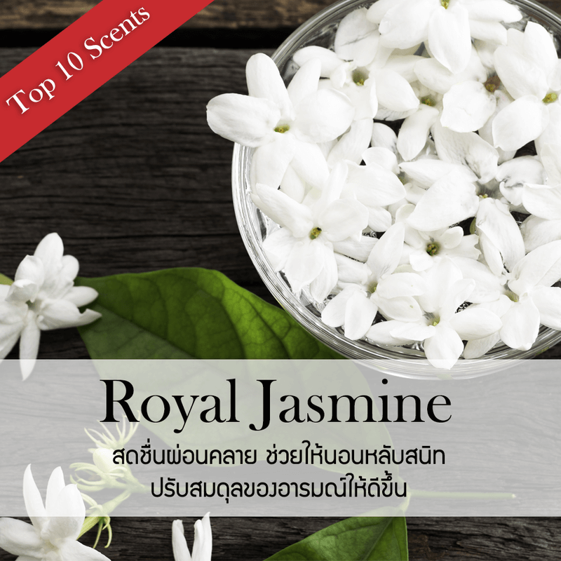 ก้านไม้หอมปรับอากาศ รีฟิล ขนาด 100 มล. กลิ่น Royal Jasmine