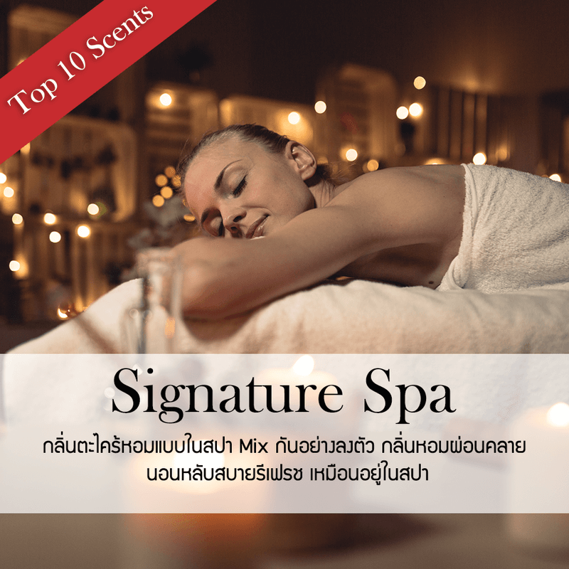 ก้านไม้หอมปรับอากาศ รีฟิล ขนาด 1000 มล. กลิ่น Signature Spa