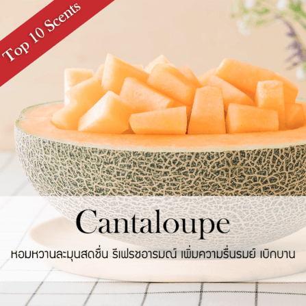 ก้านไม้หอมปรับอากาศ รีฟิล ขนาด 100 มล. กลิ่น Cantaloupe_1
