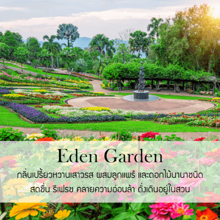 ก้านไม้หอมปรับอากาศ รีฟิล ขนาด 50 มล. กลิ่น Eden Garden_1