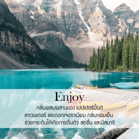 ก้านไม้หอมปรับอากาศ รีฟิล ขนาด 1000 มล. กลิ่น Enjoy_1