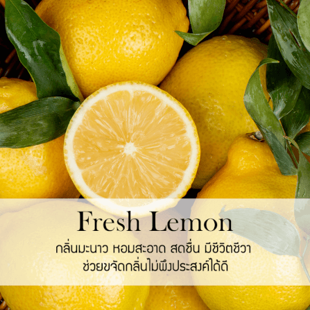 ก้านไม้หอมปรับอากาศ รีฟิล ขนาด 30 มล. กลิ่น Fresh Lemon_1
