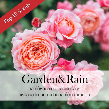 ก้านไม้หอมปรับอากาศ รีฟิล ขนาด 500 มล. กลิ่น Garden&Rain_1