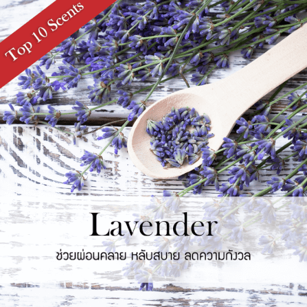ก้านไม้หอมปรับอากาศ รีฟิล ขนาด 50 มล. กลิ่น Lavender Lilac_1