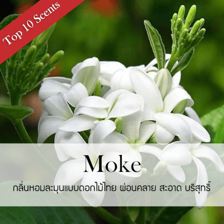 ก้านไม้หอมปรับอากาศ รีฟิล ขนาด 30 มล. กลิ่น Moke_1