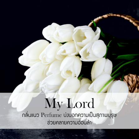 ก้านไม้หอมปรับอากาศ รีฟิล ขนาด 500 มล. กลิ่น My Lord_1