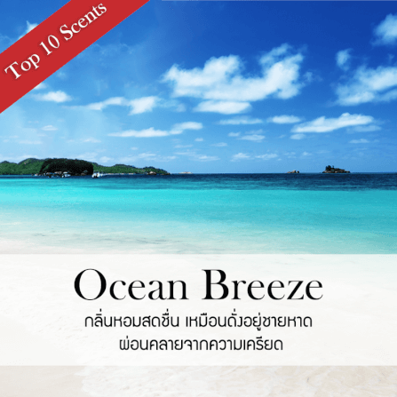 ก้านไม้หอมปรับอากาศ รีฟิล ขนาด 1000 มล. กลิ่น Ocean Breeze_1