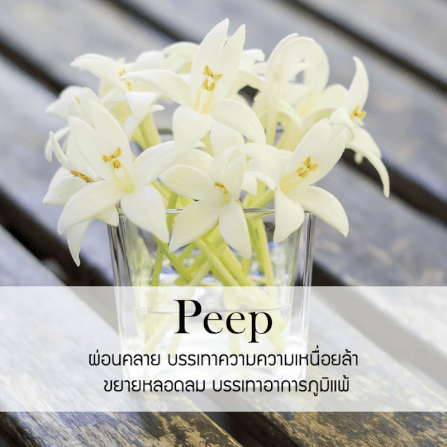 ก้านไม้หอมปรับอากาศ รีฟิล ขนาด 100 มล. กลิ่น Dok Peep_1